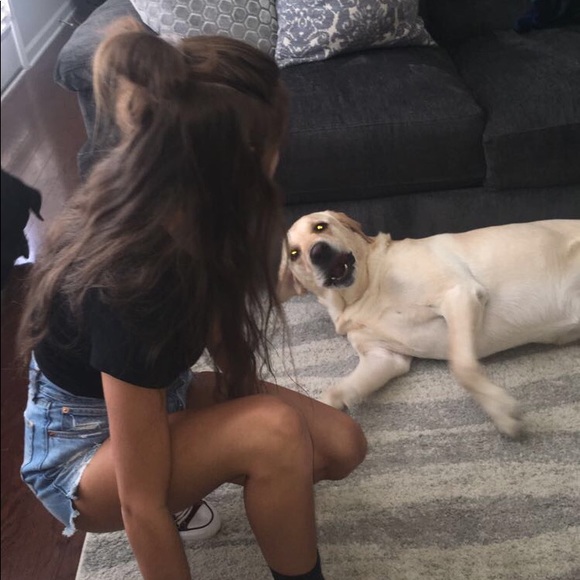 Meet your Posher, Madison - Picture 1 of 1